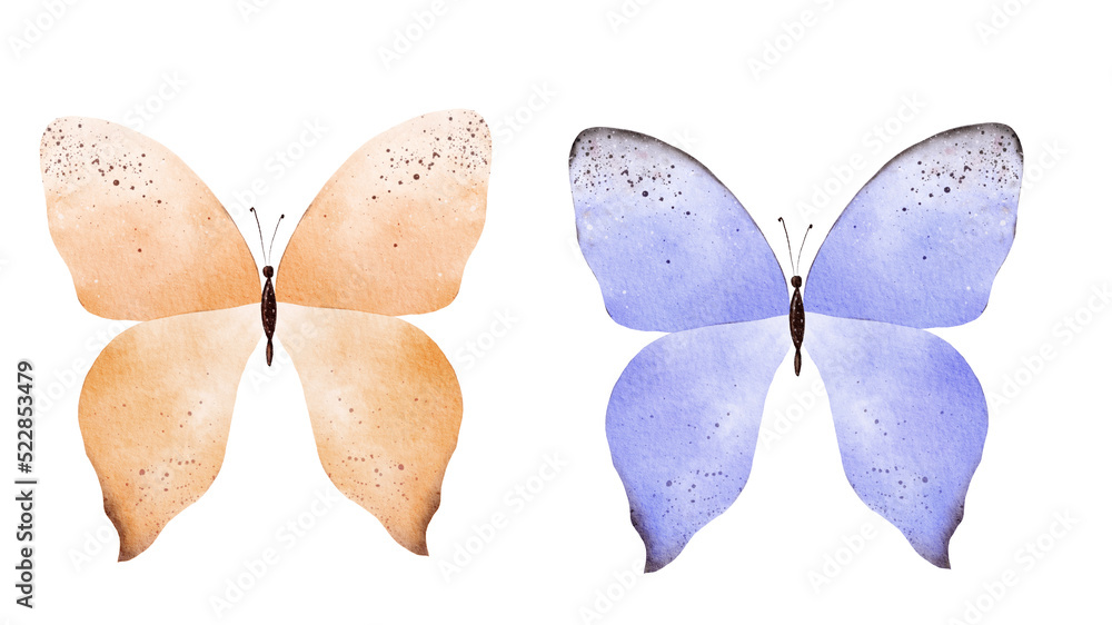 Hand sketch of colored butterfly. Watercolor hand painted collection. Ideal for invitations, cards, wallpapers, printing on fabric.