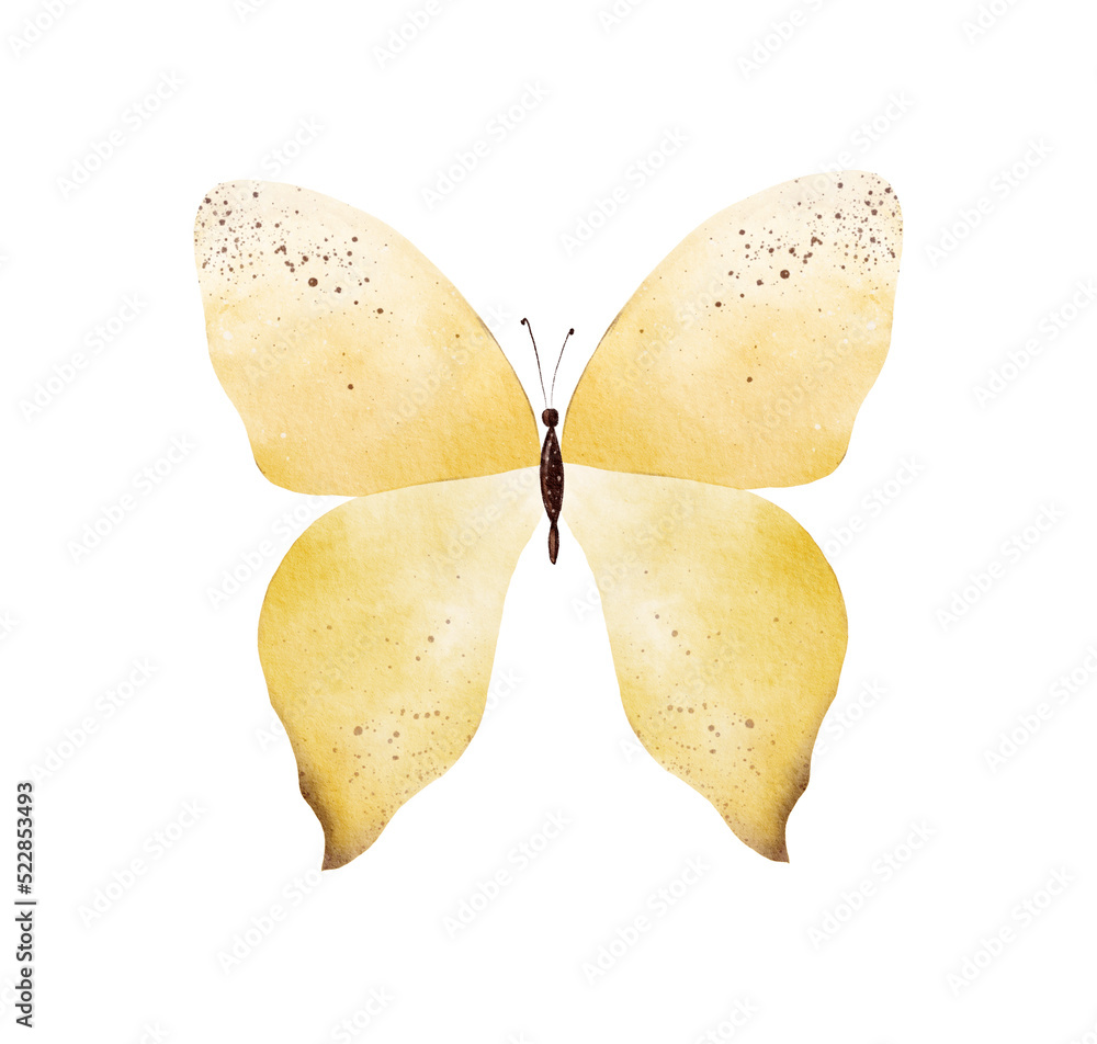 Hand painted yellow watercolor butterfly clipart on white background