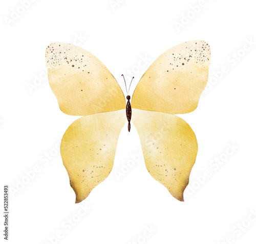 Obraz na płótnie Hand painted yellow watercolor butterfly clipart on white background w salonie