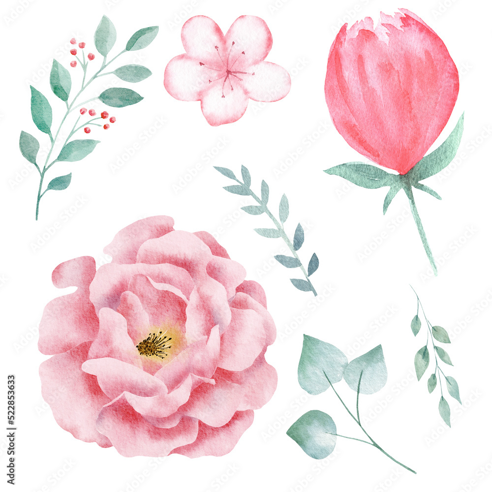 Set of hand painted pink watercolor flowers and greenery leaves.