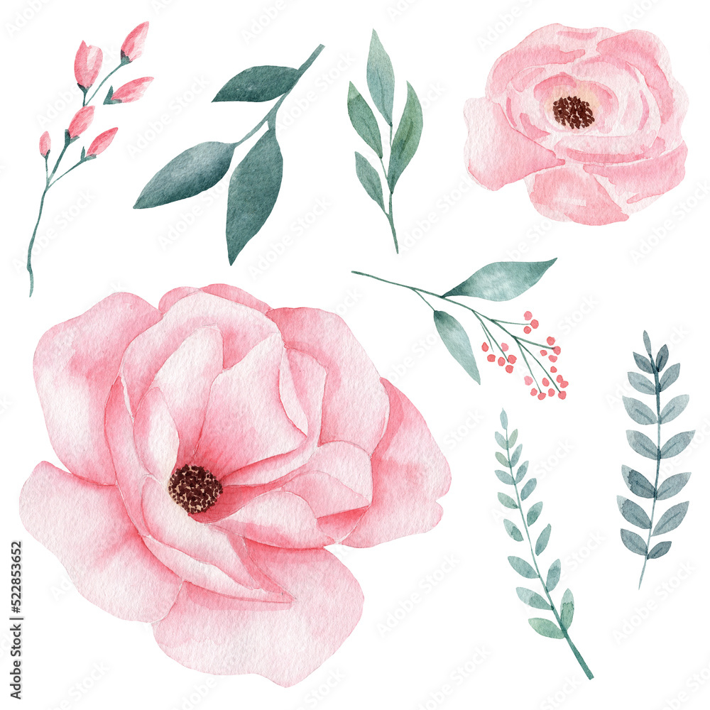 Set of hand painted pink watercolor flowers and greenery leaves.