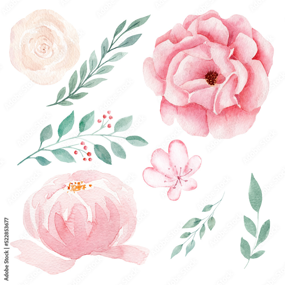 Set of hand painted pink watercolor flowers and greenery leaves.
