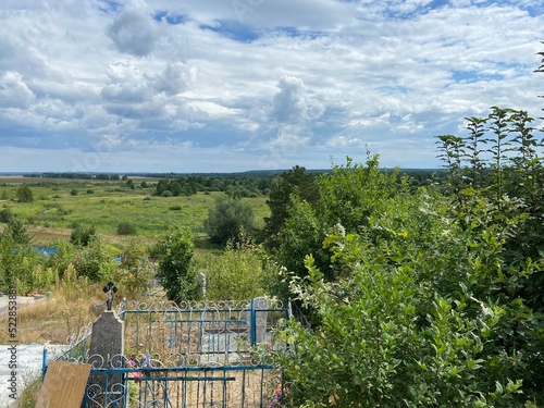 view from the fence