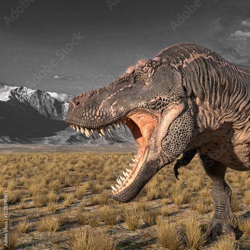 tyrannosaurus rex is hunting down in plains and mountains close up © DM7