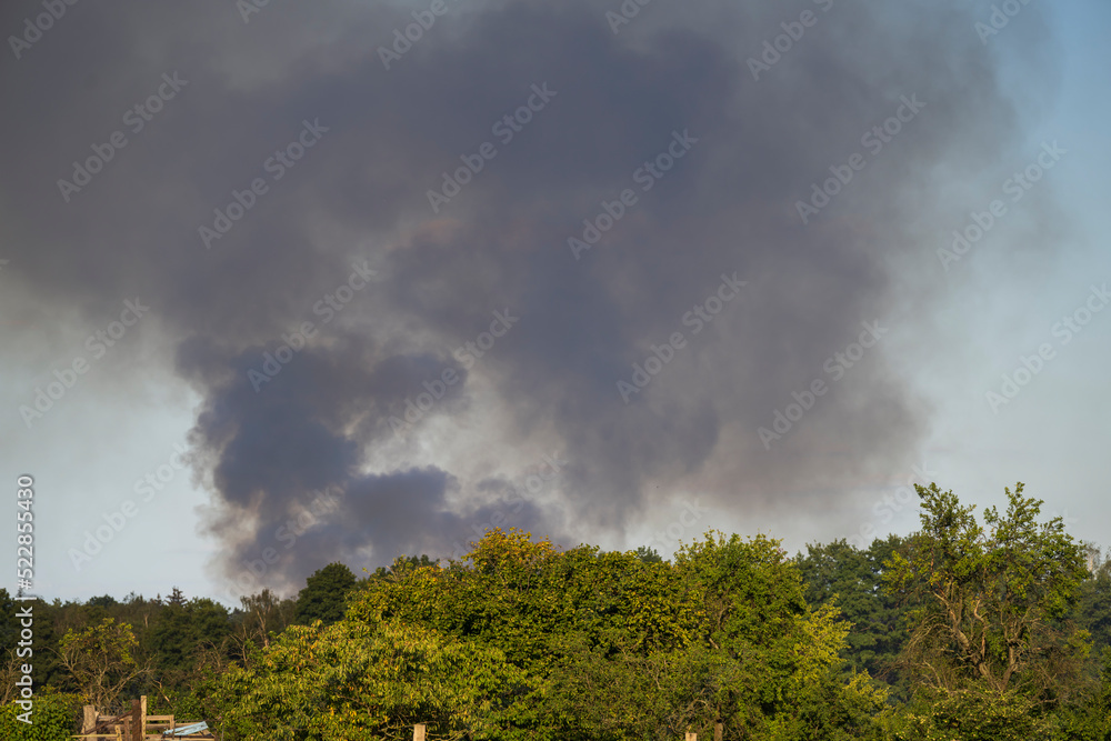 Rauchsäule eines entstehenden Waldbrandes Rauchsäule eines entstehenden Waldbrandes