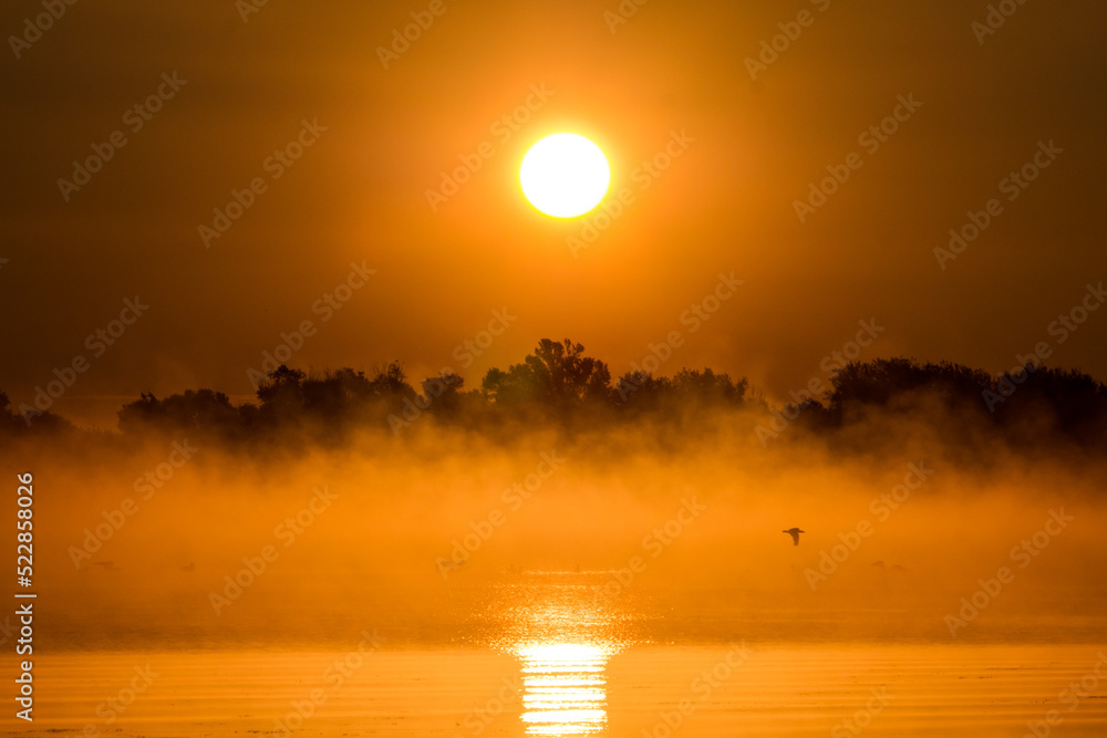 Fototapeta premium The setting sun against the backdrop of a soaring river mist