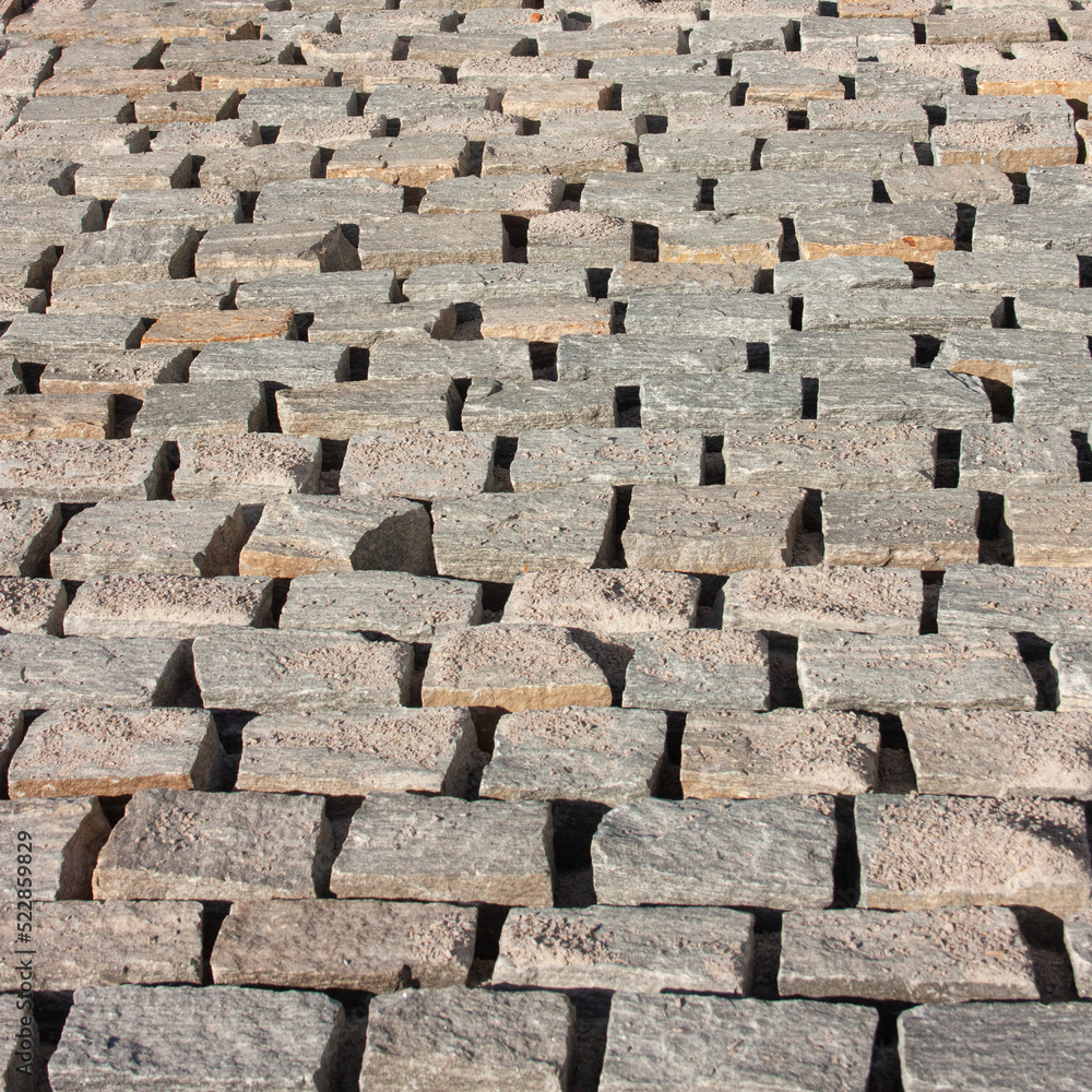 Paving stone texture