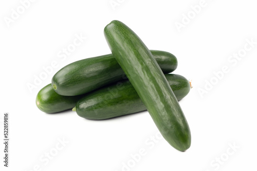 Fresh cucumbers isolated on bright background. Close up view.