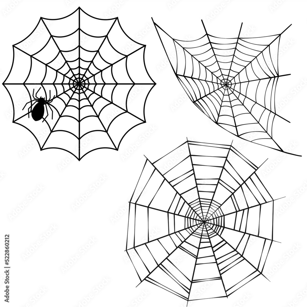 Obraz premium spider web