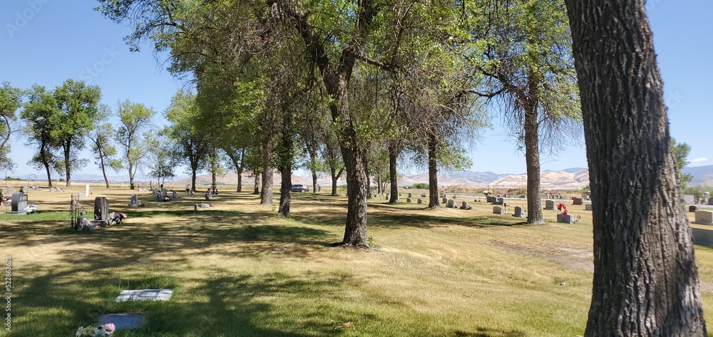 Trees in the cemetery, Lewiston Cemetery, Utah Trees in the cemetery, Lewiston Cemetery, Utah