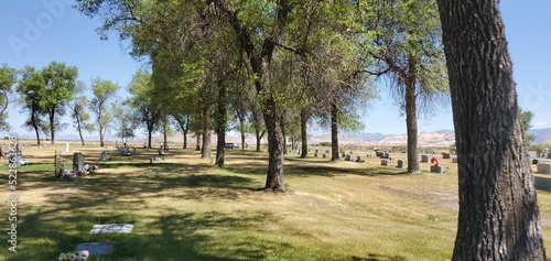 Trees in the cemetery, Lewiston Cemetery, Utah