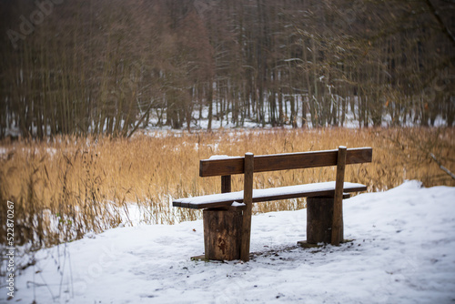 Winterwald, Wanderung im Winter im Schlaubetal, Bank mit Naturblick