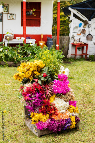 Medellín is partying, the flower fair returns with the parade of silleteros photo