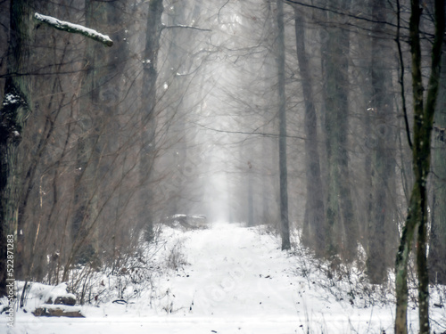 Fototapeta Naklejka Na Ścianę i Meble -  OLYMPUS DIGITAL CAMERA
