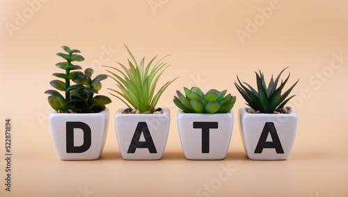 Text DATA on ceramic pots with office plants. Data science concept.