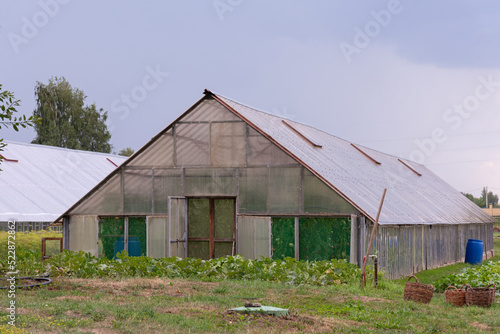 Large greenhouse for growing vegetables in a home farm - farming, vegetable garden, growing vegetables, harvesting, healthy living, ecological products, gardening tools, tillage