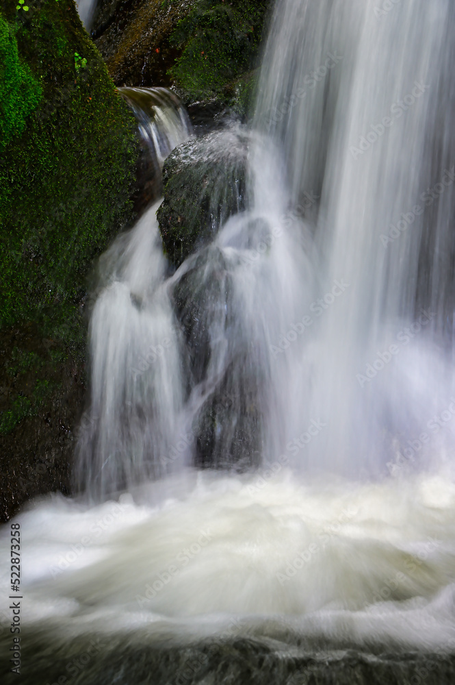 waterfall in the forest waterfall in the forest