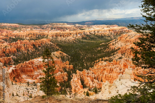 scenic view of Fairyland Point with pine trees and hoodoos under cloudy sky , Bryce National Park, Utah, USA