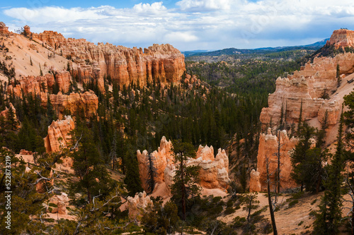 pine trees and hoodoos from Fairyland Point at Bryce Canyon National Park, Utah, USA