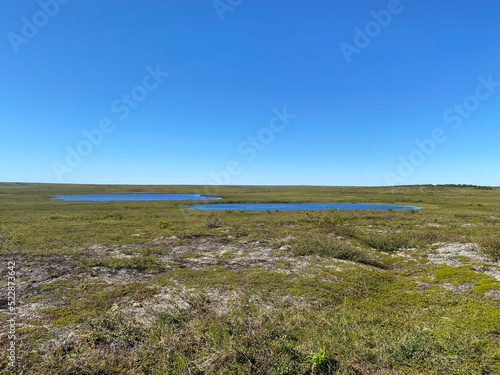 Tundra walks in Bethel  Alaska