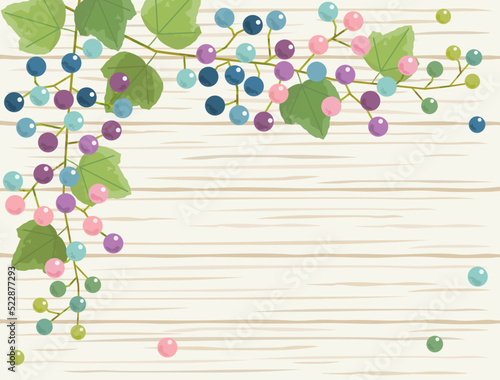 カラフルな野ぶどうのイラスト