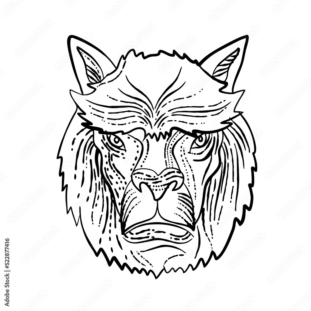 Obraz premium Alpaca Head Etching Black and White
