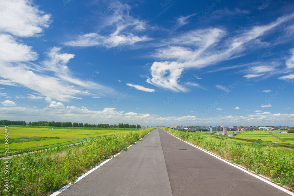 一本道がある風景