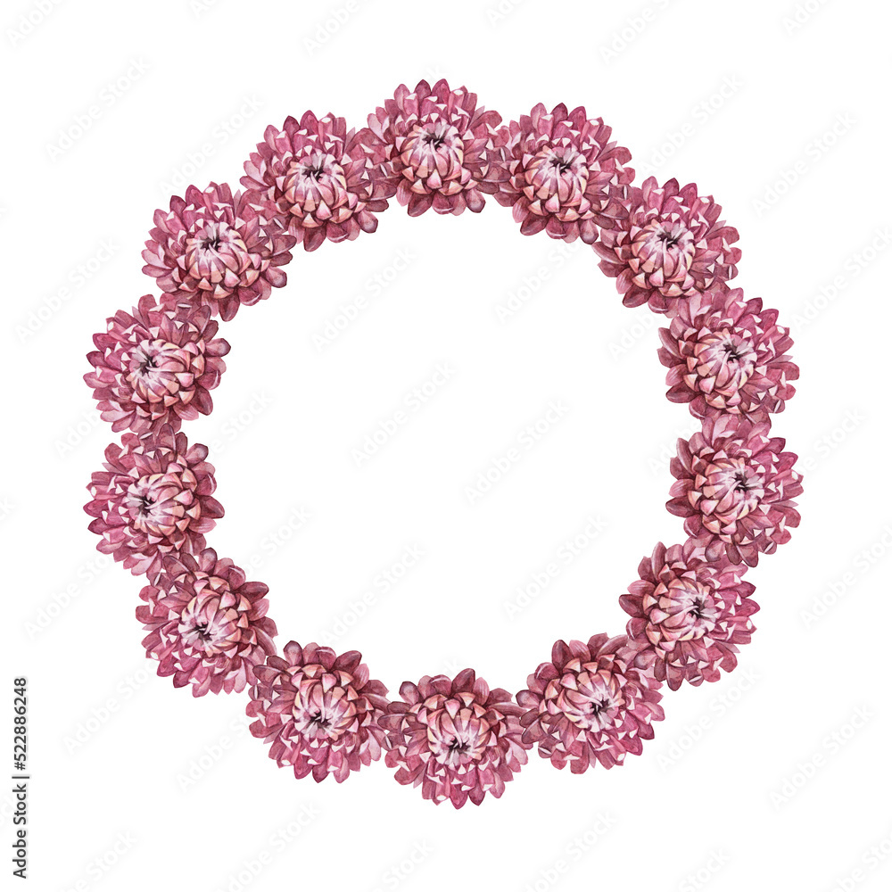 Watercolor boho wreath isolated on white background. Circle frame border template for design. Dry flower pink chrysanthemum for wedding. Hand-drawn summer autumn plant. Clipart with copy space