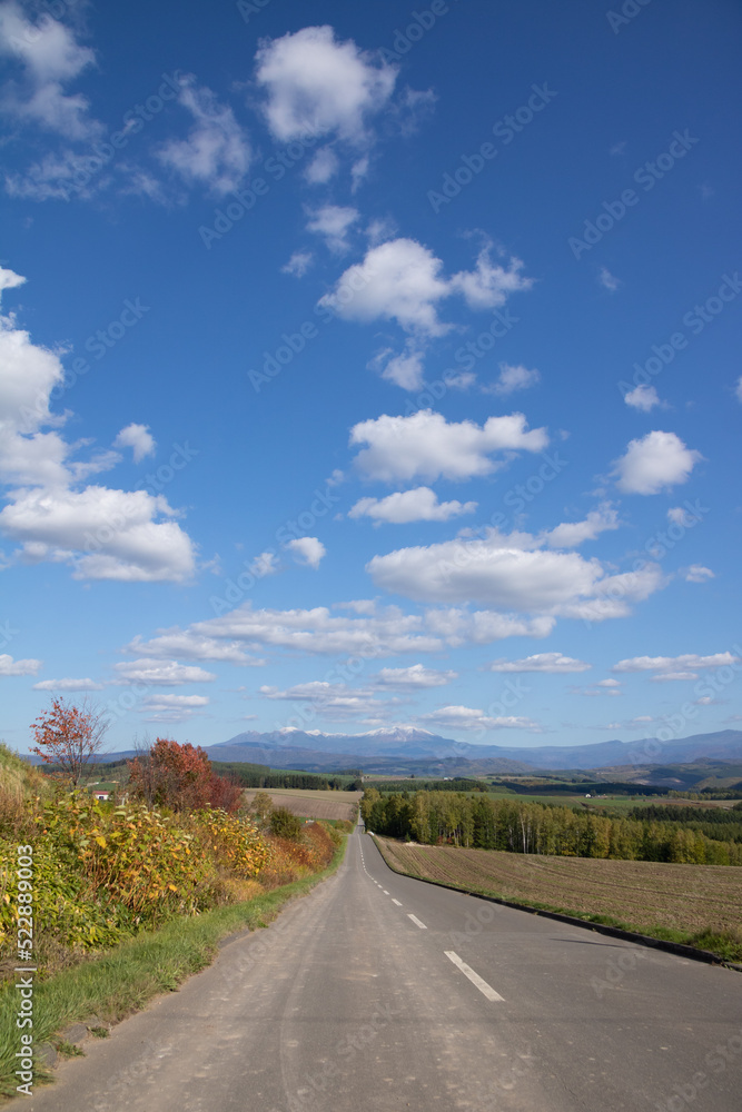 秋の丘陵畑作地帯を通る道と青空
