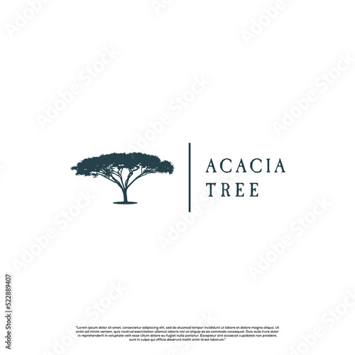 African Acacia Tree Silhouette for Safari Adventure Logo Design Vector