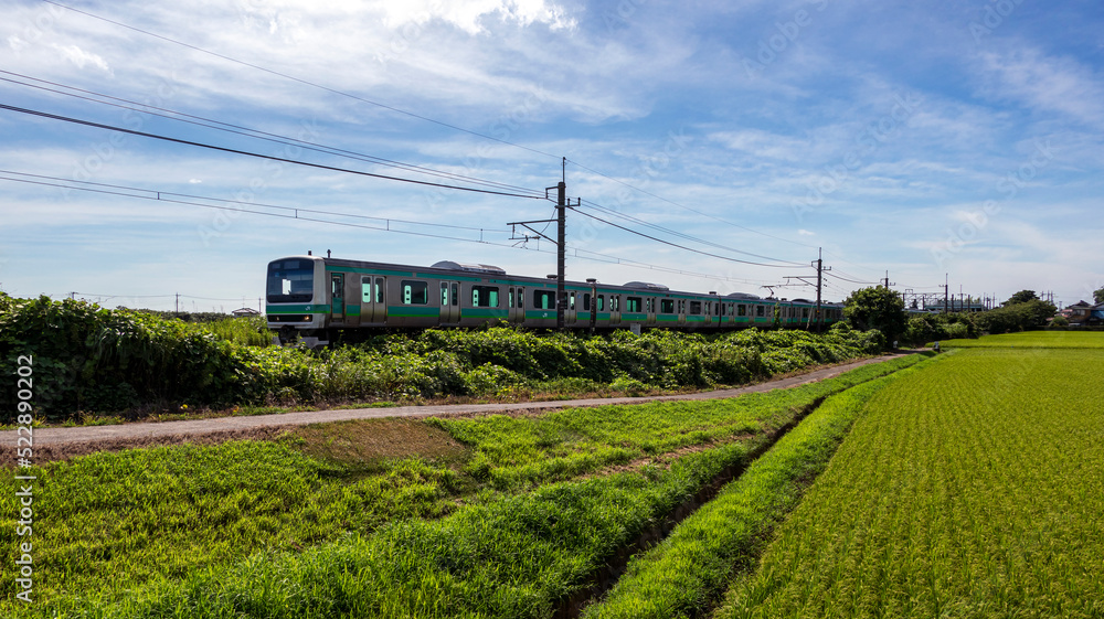 郊外を走る電車 郊外を走る電車