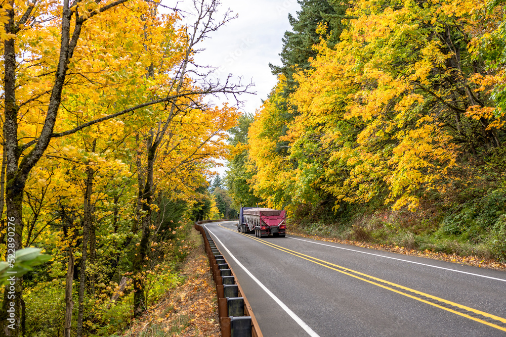 Blue big rig classic semi truck transporting commercial cargo in bulk semi trailer running on the winding mountain road with going true autumn yellow forest