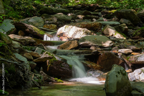 Small Waterfall in the Forest