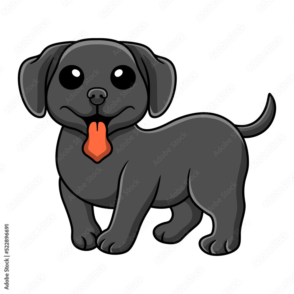 Cute black labrador dog cartoon