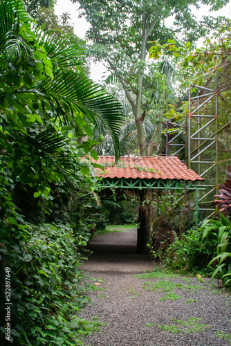 Little red and green porch among trees and plants at the Natuwa animal refuge in Costa Rica, Central America