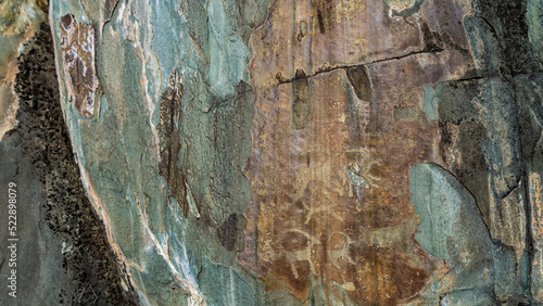Fotografie Ancient rock art