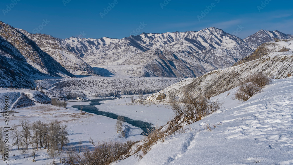 An ice-free blue river winds through a snow-covered valley. Bare trees on the banks. Footprints in snowdrifts. A picturesque mountain range against the blue sky. Altai. Katun