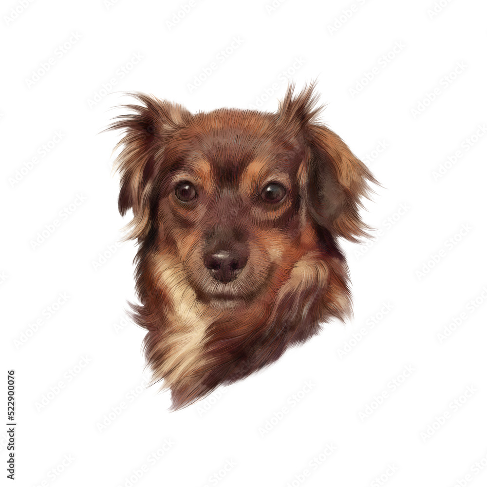 Head of Cute toy terrier isolated on white background. Portrait of a brown lap dog. Hand painted illustration of Pets. Animal art collection: Dogs. Good for print T-shirt, pillow. Design template