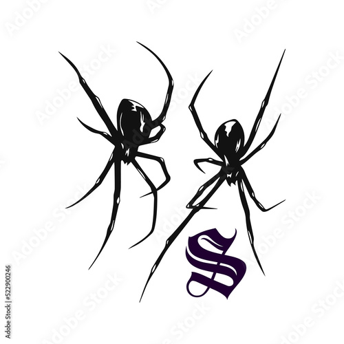 vector illustration of two black spiders