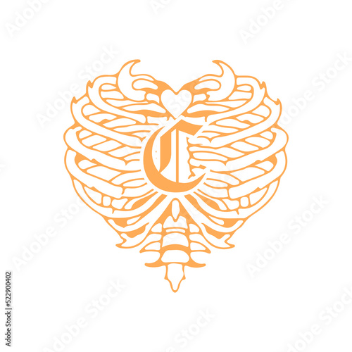 vector illustration of rib concept