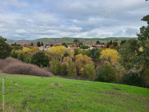 Photography Cottonwood Autumn foliage along Alamo Creek, San Ramon, California