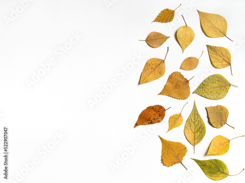 Dired autumn leaves flat lay composition on a white background. Copy space