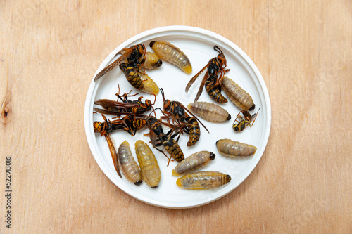 Dead larvae and wasps known as Asian Giant Hornet or Japanese Giant Hornet inside white circular container on wooden table in top view