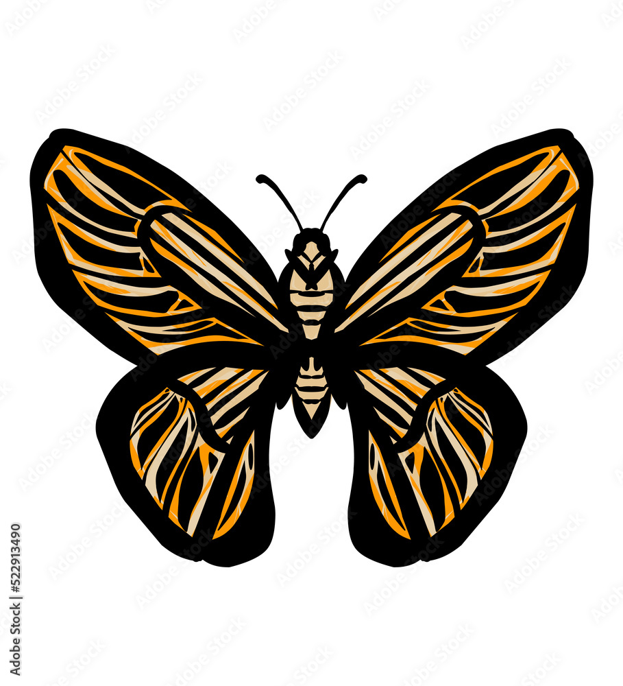 butterfly illustration with batik pattern