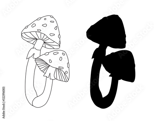 Vector fly agaric mushrooms. Contour and silhouette. Minimalistic objects are made in the style of one line.