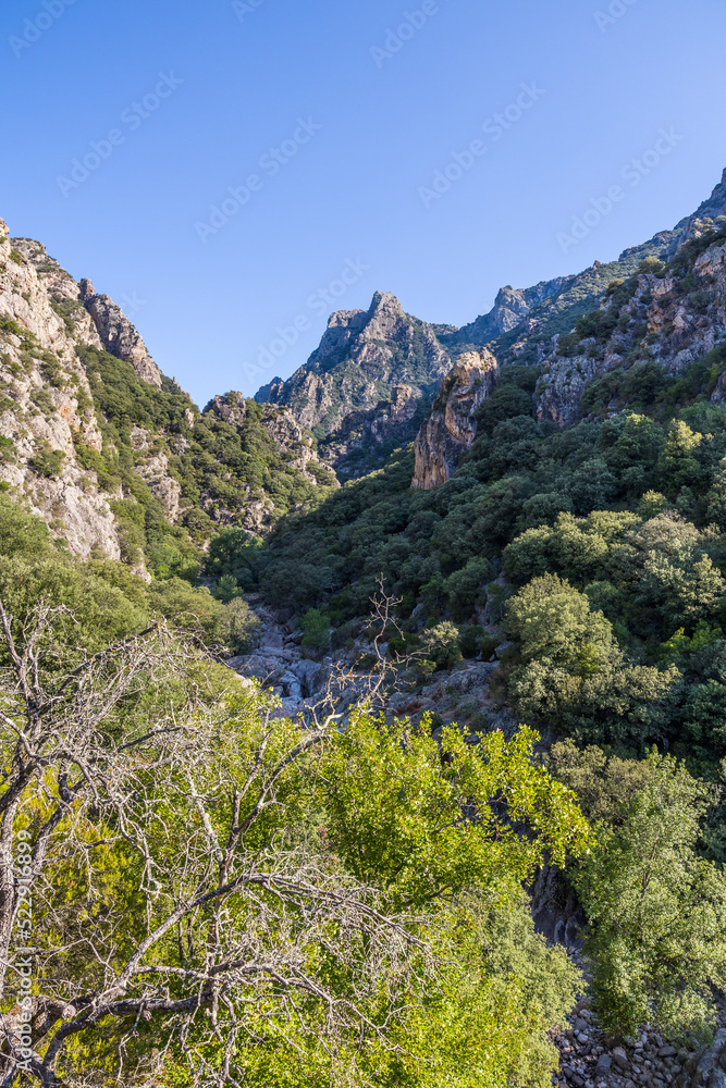 Fototapeta premium Paysage à l'entrée des Gorges de l'Héric dans le Parc naturel du Haut-Languedoc