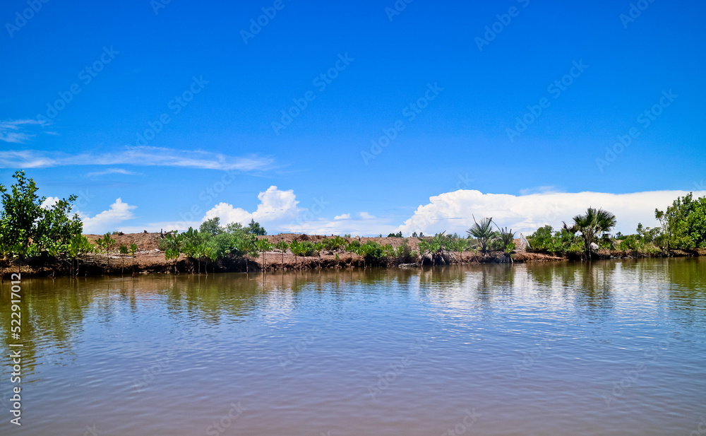 Fototapeta premium damage to the mangrove ecosystem