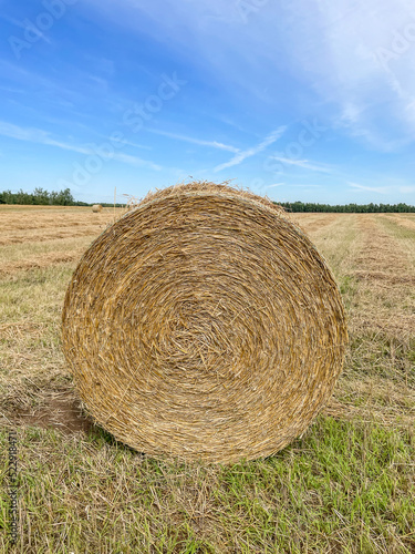 Round hay bale