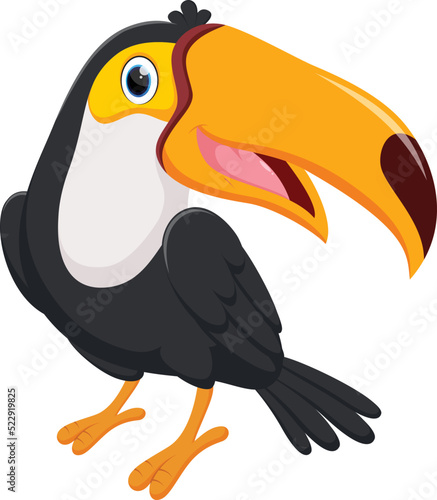 Cartoon happy toucan bird isolated on white background