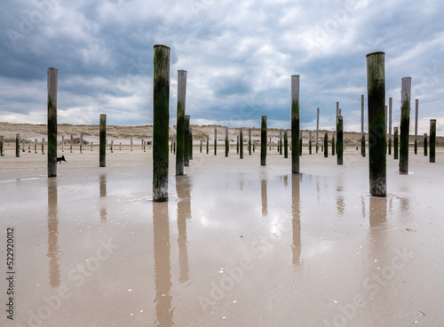 Beach near Petten, Noord-Holland province, The Netherlands 